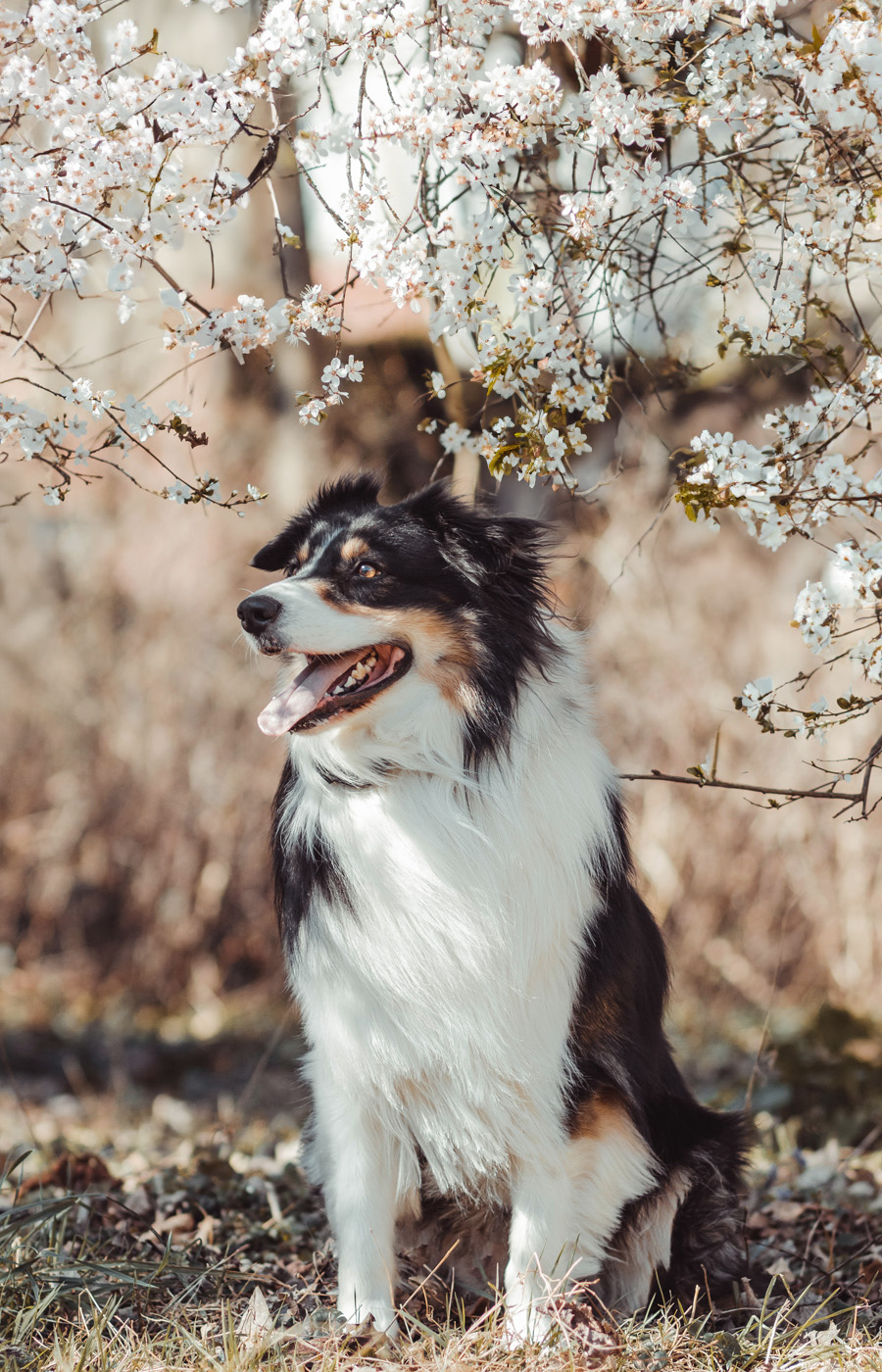 Manon Knasko Photographies